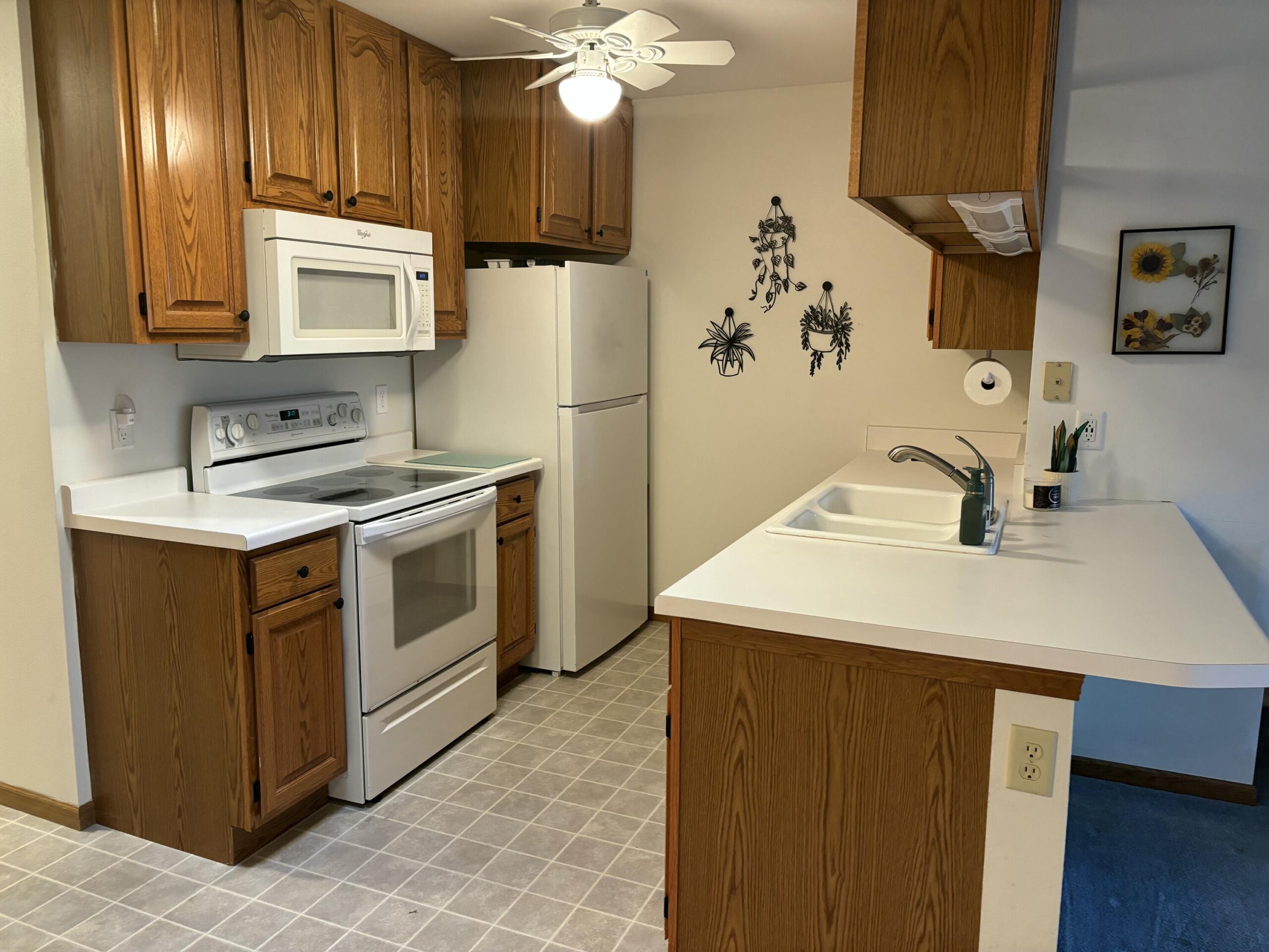 20241027220307627889000000-o