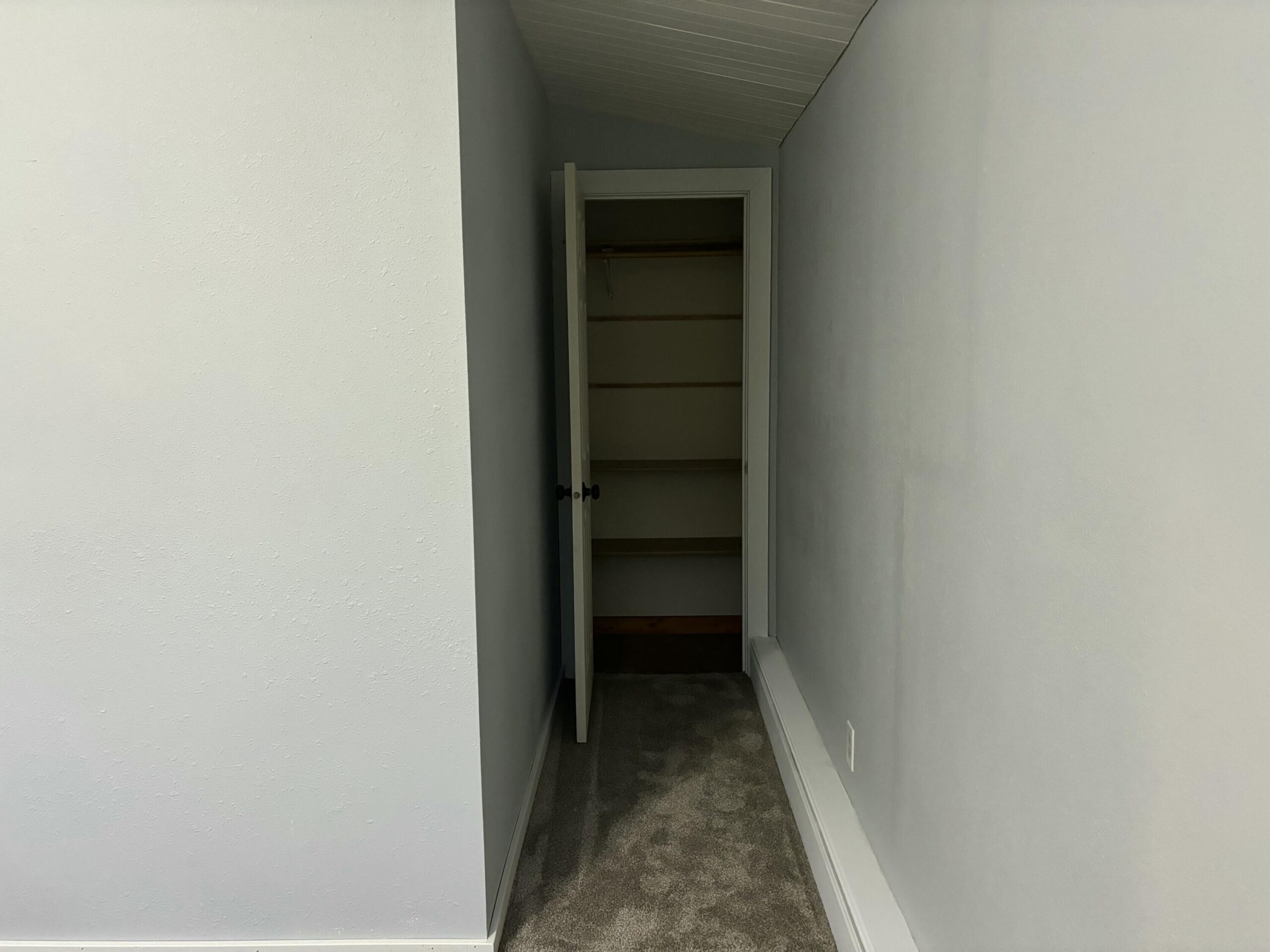 20241119235201358164000000-o